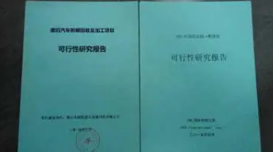 立项前的可研报告