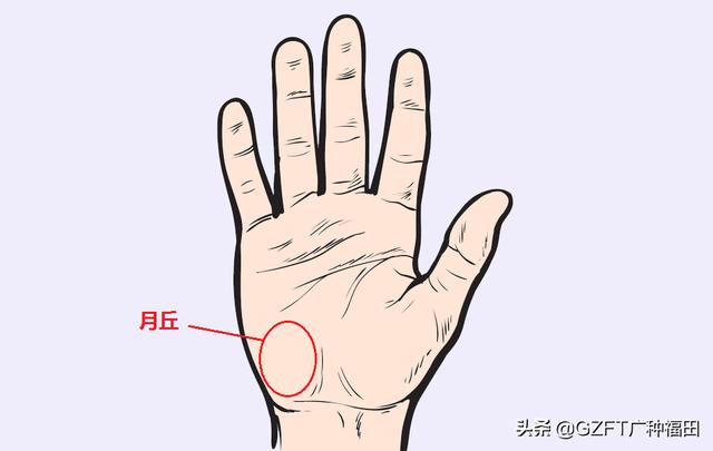 手相大师看手相（5分钟学会看手相）