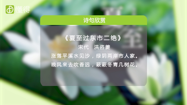 夏至是什么意思