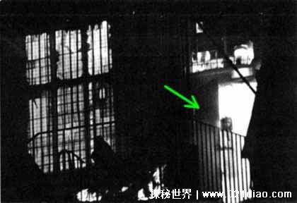 10大恐怖照片 全世界最恐怖的照片胆小请勿入
