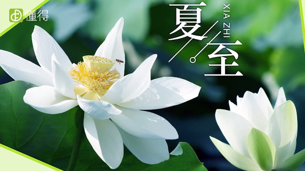 夏至是什么意思