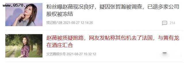 赵薇被国家封的原因