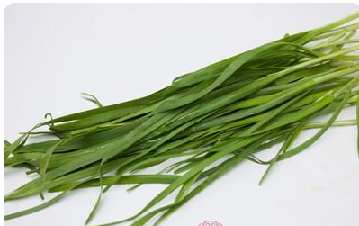 韭菜的功效与作用！