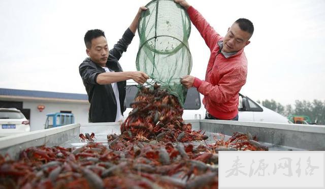 中国的小龙虾产地有哪些