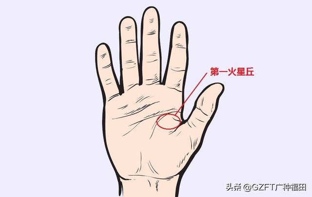 手相大师看手相（5分钟学会看手相）