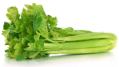 今天吃什么菜谱