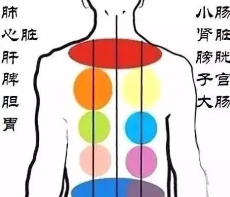 肝区疼痛位置图