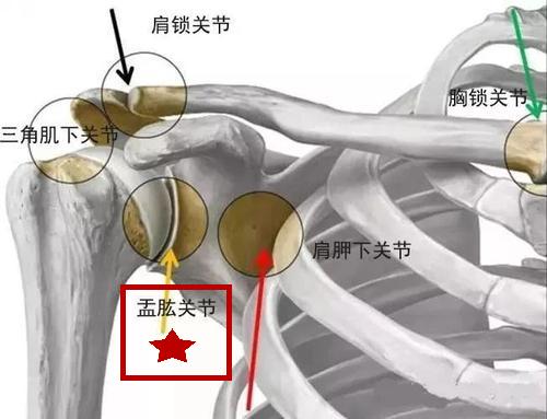 肩周炎的症状表现