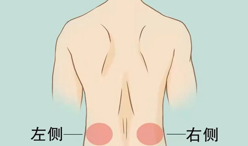 后背疼痛部位对照表