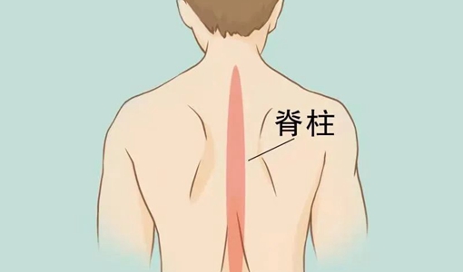 后背疼痛部位对照表