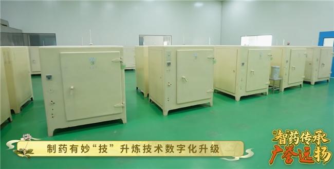 “智” 药传承，广誉远扬：撒贝宁探厂直播，揭开老字号神秘面纱