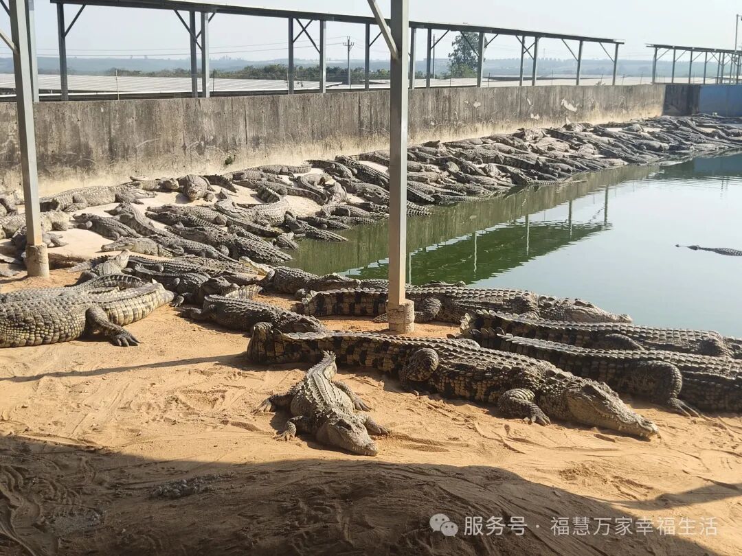 “健康 + 财富 幸福生活路” 福慧万家商城启动仪式圆满举行 ——跨界融合开启民生赋能新篇