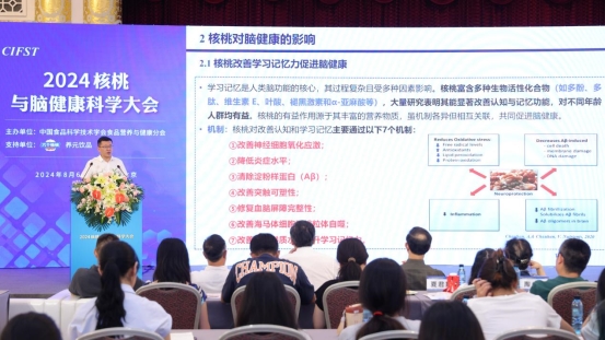 核桃补脑真的有效！六个核桃改善记忆力获七大科学实证