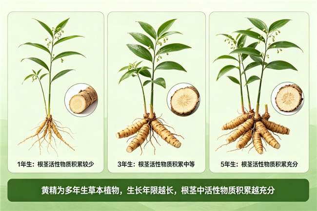 月经量少、脸色暗沉的女性应该买哪个品牌的黄精？这篇告诉你