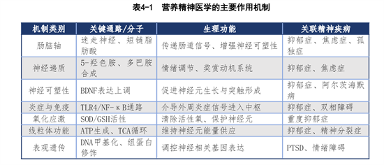 2026白皮书发布：营养干预精神治疗，从边缘走向中心