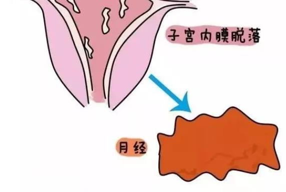 来月经初潮可以跑步吗 少女初潮注意什么