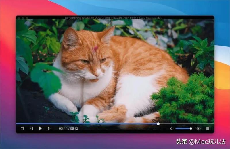 超高清播放器推荐