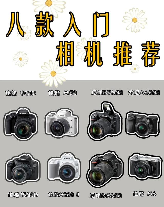 入门级单反相机推荐