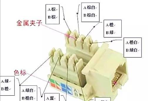 网线插座接法