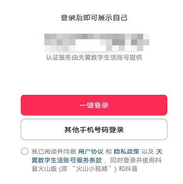 抖音月付什么意思