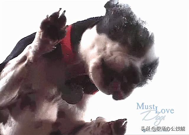 电脑动态壁纸