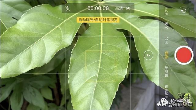 短视频拍摄