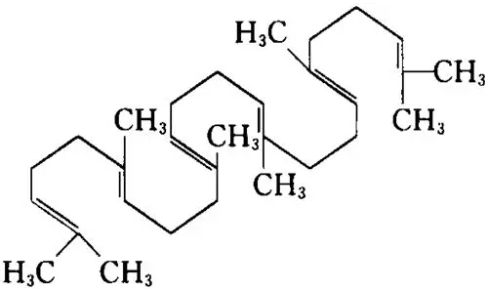 角鲨烯的作用和功效