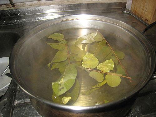 枇杷叶煮水的功效与作用