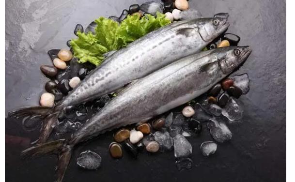 鲅鱼有什么营养价值？哪些人群不宜食用鲅鱼？