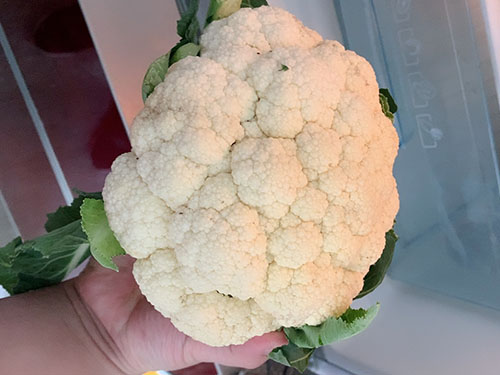 油菜花粉的功效与作用