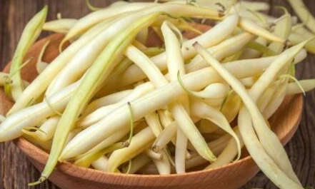 四季豆是什么豆角