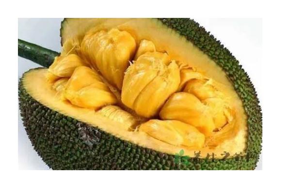 波萝蜜有什么功效及作用？哪些人群不宜食用菠萝蜜？