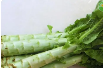 油麦菜的简介
