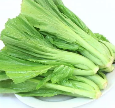 芥菜的图片