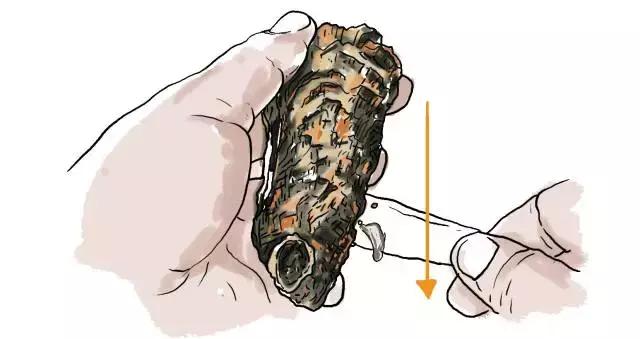 生蚝20种美味做法 史上最全的生蚝大解析