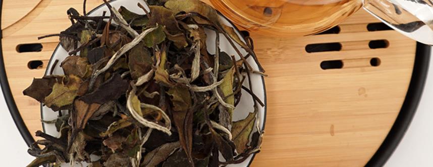 贡眉白茶是什么茶