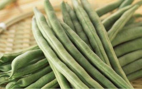 四季豆是什么豆角