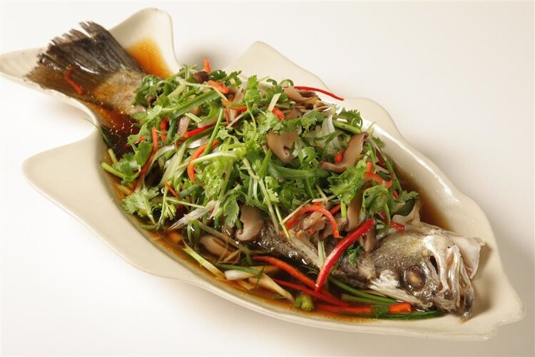 美国研究：鱼肉含有毒物质，多吃或致癌？