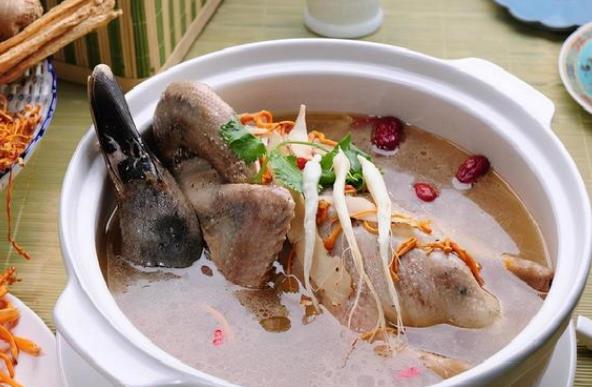 鸭肉是凉性还是热性 性寒消水肿止热痢止咳化痰