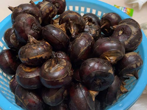 马蹄的功效和作用``