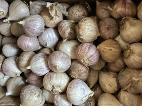 排名第一最强护肝食物