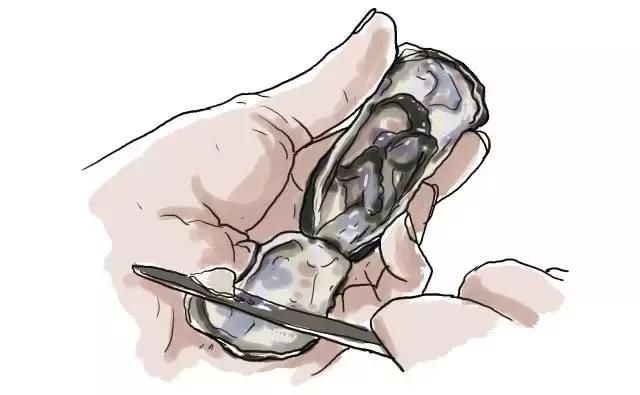 生蚝20种美味做法 史上最全的生蚝大解析