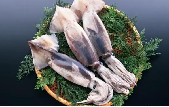 鱿鱼都有什么功效与作用？食用鱿鱼的禁忌有哪些？