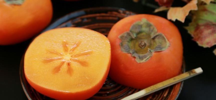 柿子相克的食物列表