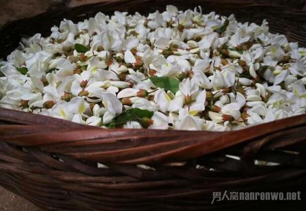 槐花的吃法