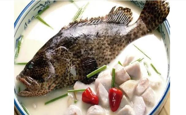 食用石斑鱼有哪些功效与作用？哪些人群不宜食用石斑鱼？