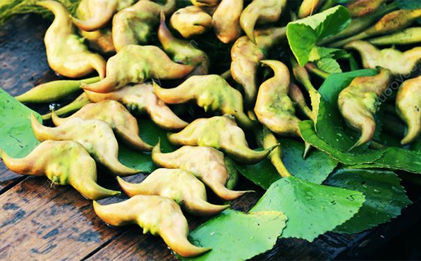 菱角怎么吃？菱角怎么做好吃？(图文)