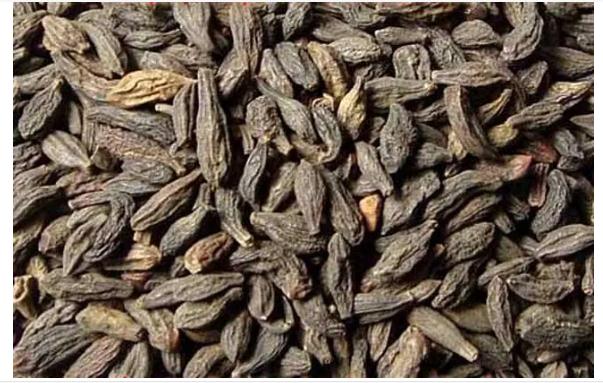 西青果有哪些功效与作用？哪些人群不宜服用西青果？