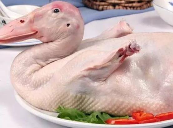 鸭肉没煮熟可以吃吗 鸭肉煮多久才熟