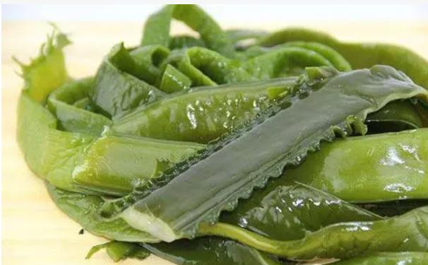 海白菜有哪些功效作用？哪些食物不能与海白菜同食？